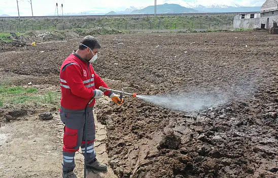Kocasinan'da haşereye karşı yıl boyu mücadele