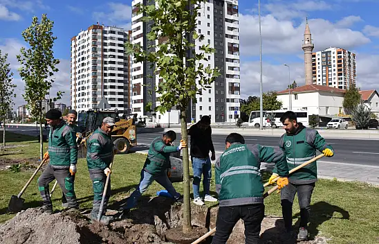 Kocasinan'da yeşil alan hamlesi
