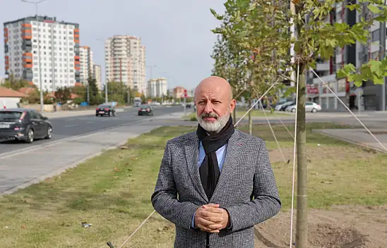 Kocasinan'da Yeşil Hamle: yeni ağaçlandırma çalışmaları