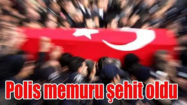 1 Polis Şehit