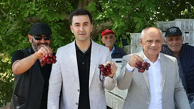 100 TON KİRAZ İHRACATI