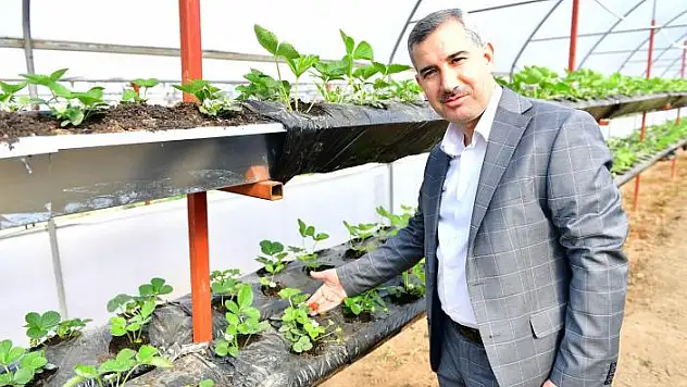 '15 Ayda 21 Bin 225 Kilo, Yerli Ürün Hasadı Yaptık'