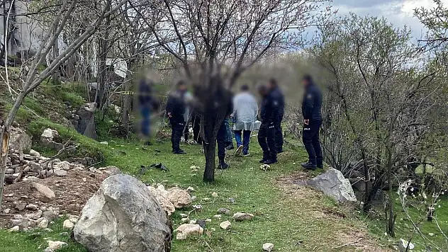 23 yaşındaki genç ağaçta asılı bulundu