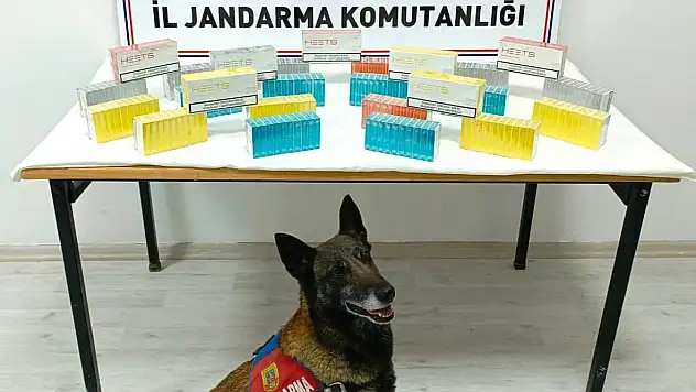 30 bin lira değerinde kaçak elektronik sigara kartuşu ele geçirildi
