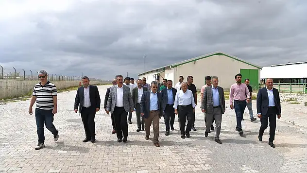 500 büyükbaş hayvan kapasiteli tesis olacak