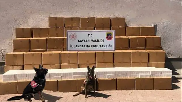 6 bin 150 karton kaçak sigara ele geçirildi