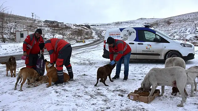 92 NOKTADA BESLEME YAPILIYOR