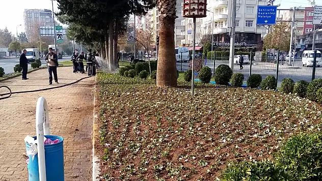 Adıyaman Belediyesi'nden Çiçeklendirme Çalışması