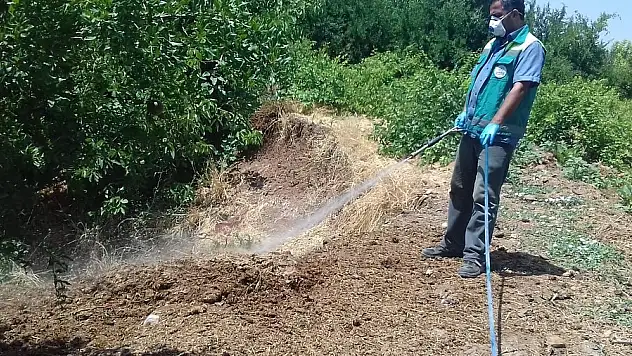 Adıyaman Belediyesi'nden Haşere İle Mücadele