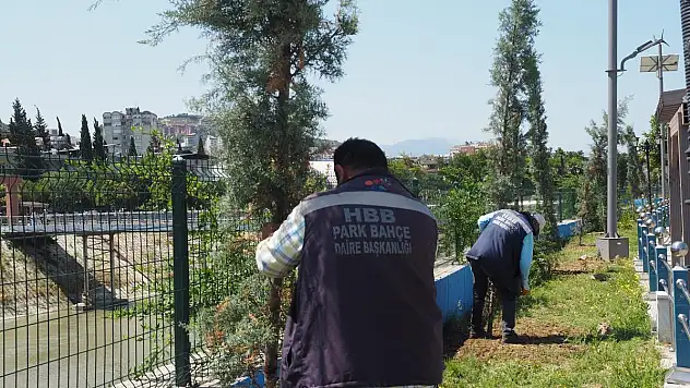 AĞAÇLANDIRMA ÇALIŞMALARI HIZ KESMİYOR