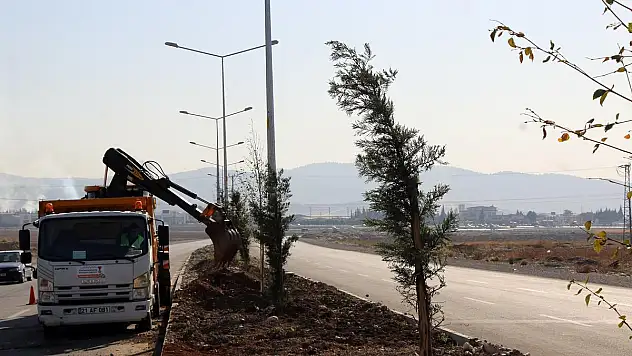 Ağaçlandırma Çalışmaları Sürüyor