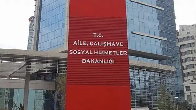 Aile'den kamuya 491 atama