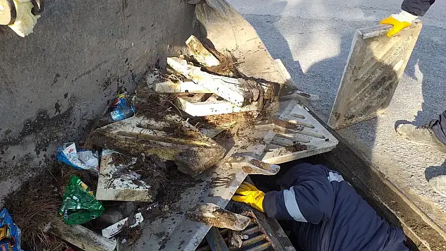 ALTYAPI HATLARI BAKIM VE ONARIMDAN GEÇİYOR