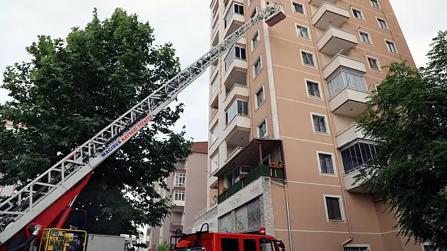 ARILAR OĞUL VERDİ, BELEDİYE DUVARDAN İNDİRDİ