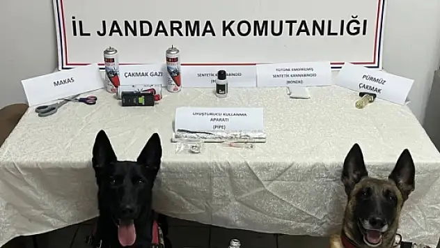 Artvin'de uyuşturucuya darbe