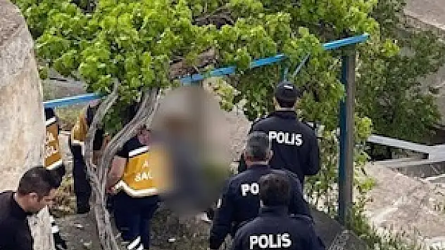 Asma ağacının altında yaşamına son verdi