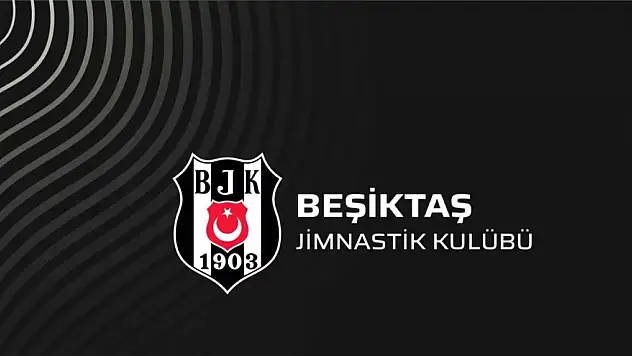 Aybaba ve  Friedel Gönderildi