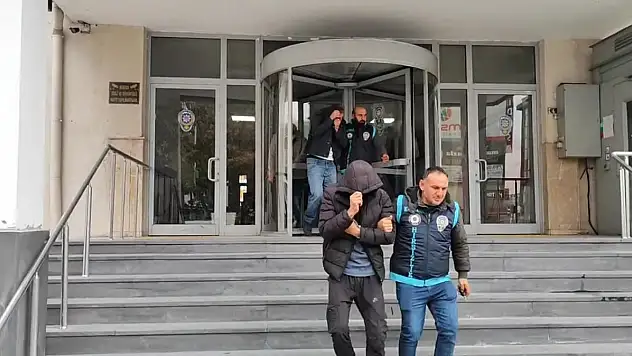 Bağ evi fareleri yakalandı