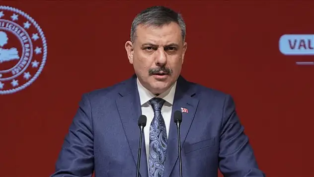 Bakan Çiftçi'den Sokak Köpekleri Açıklaması