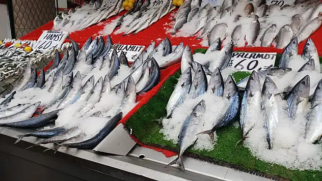 Balık fiyatları, bollaştıkça düşecek