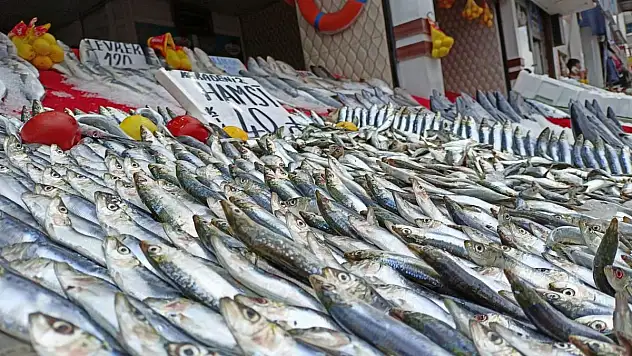 Balık fiyatları, bollaştıkça düşecek