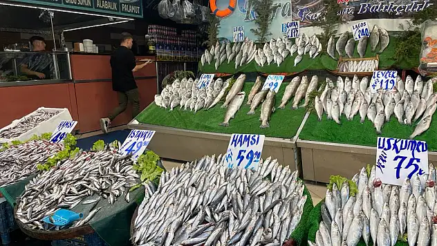 Balıkçılar 'vira bismillah' dedi, tezgahlar şenlendi
