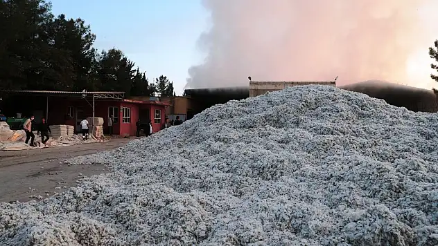 BAŞKAN BEYAZGÜL, YANGIN ALANINDA İNCELEMELERDE BULUNDU