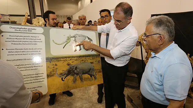 BAŞKAN BÜYÜKKILIÇ EŞSİZ FOSİLLERİN ÇALIŞMALARINI İNCELEDİ