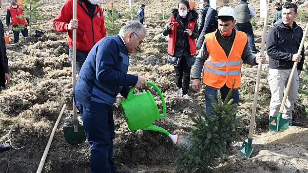 BAŞKAN BÜYÜKKILIÇ: 'ÜÇ YILDA 300 BİN FİDAN DİKTİK'