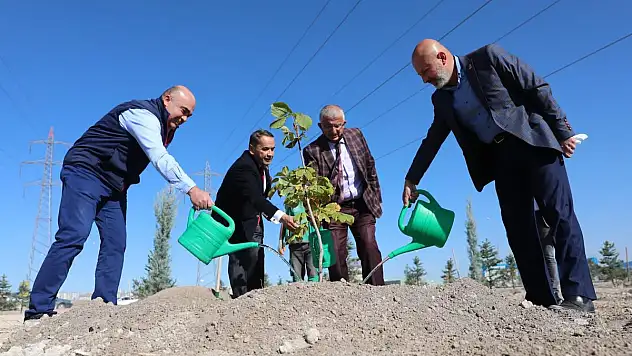 BAŞKAN ÇOLAKBAYRAKDAR, 'DAHA GÜZEL ÇEVRE İÇİN  ÇALIŞIYORUZ'
