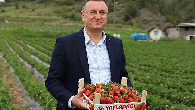 BAŞKAN SAVAŞ'IN PROJESİ İLK MEYVESİNİ VERDİ