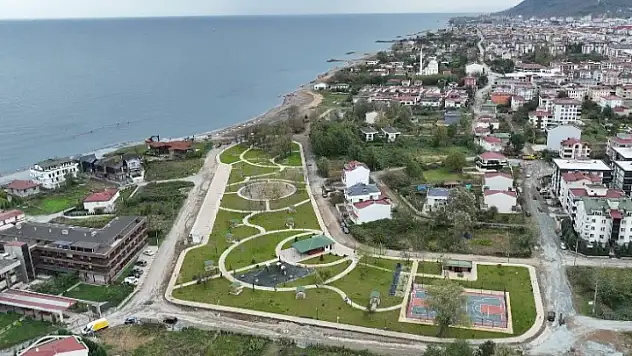 Bataklık yaşam alanına döndü