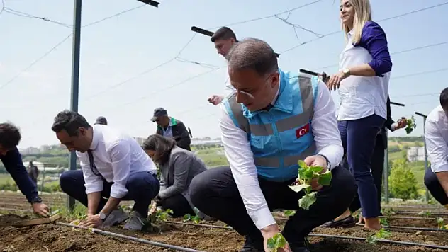 Beylikdüzü'nde yazlık fideler toprakla buluştu