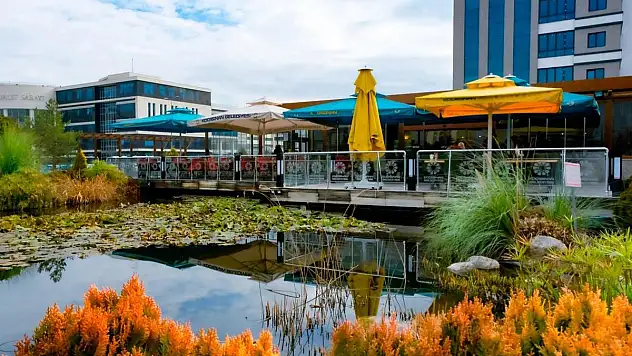 Biyolojik göletli kafe, Kafe Sinan