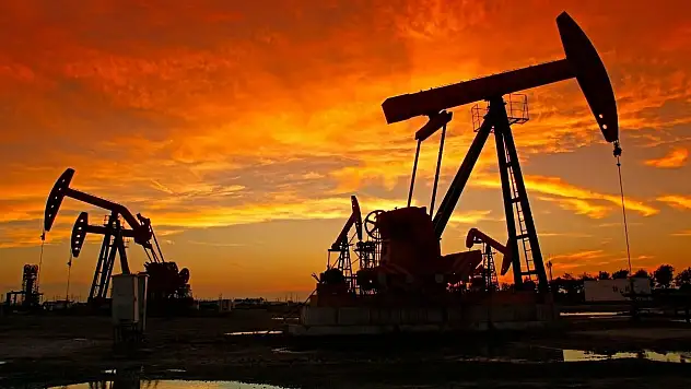 Brent Petrol 64,56 dolara geriledi
