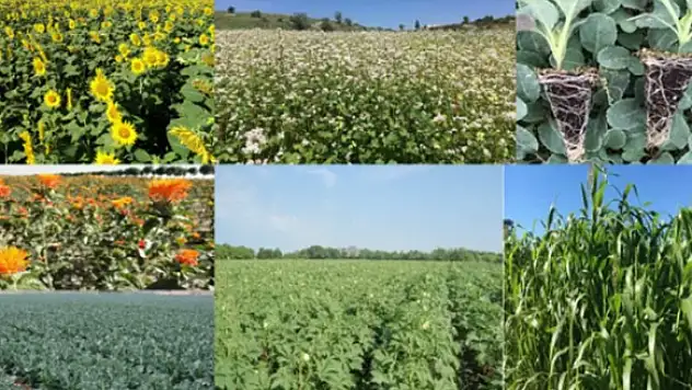 Bursa'nın 7 tarım projesine 3,7 milyon TL'lik bakanlık hibesi