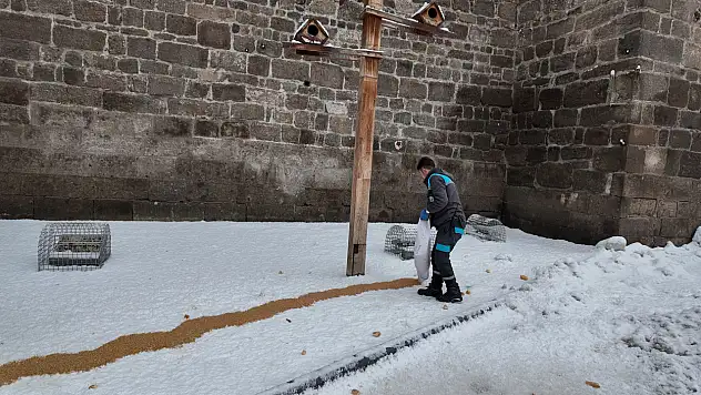 'Büyükşehir'den Dilsiz Dostlara Sıcak Dokunuş'