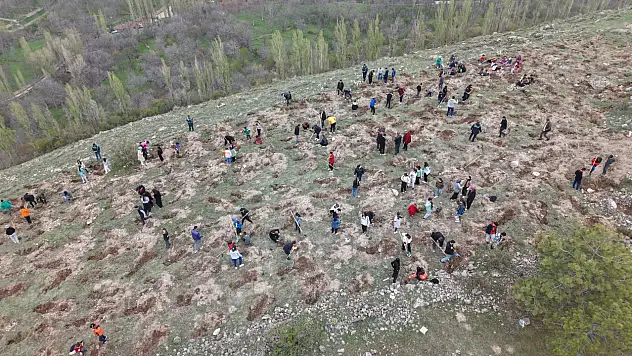 Büyükşehir'den Gesi'de ağaçlandırma şenliği