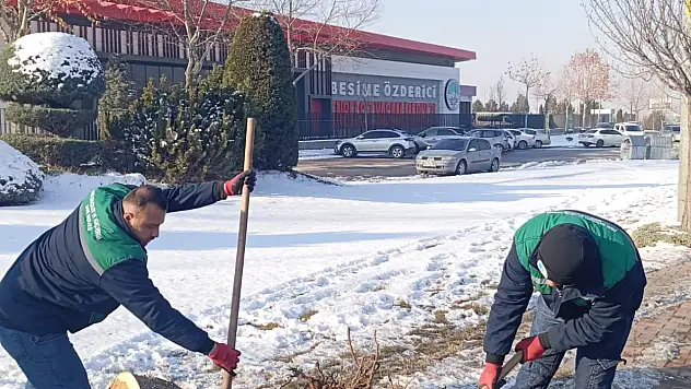 Büyükşehir'den Kışta Ağaç Güvenliği Seferberliği