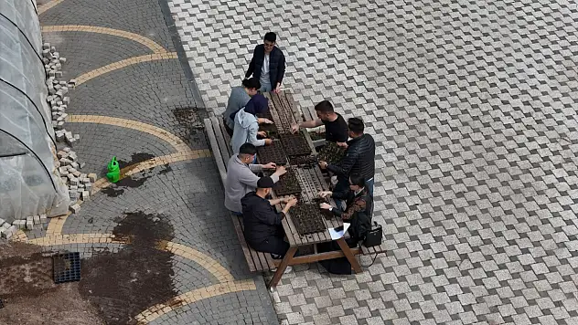 Büyükşehir'den Öğrencilere Uygulamalı Organik Tarım Eğitimi