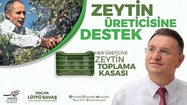 Büyükşehir'den Üreticiye Zeytin Toplama Kasası