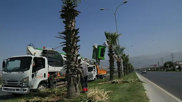 Büyükşehir'den yeşil alan bakım çalışmaları