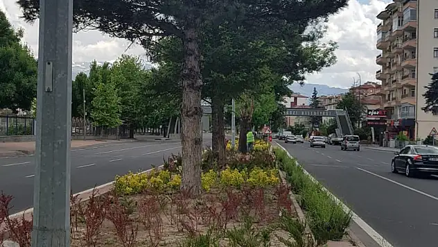 BÜYÜKŞEHİR'DEN YEŞİL ALANLARDA EKOLOJİK DÖNÜŞÜM