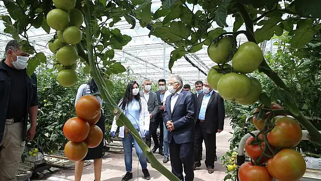 BÜYÜKŞEHİR HEM ÇEVREYİ KORUYOR HEM DE KAZANIYOR