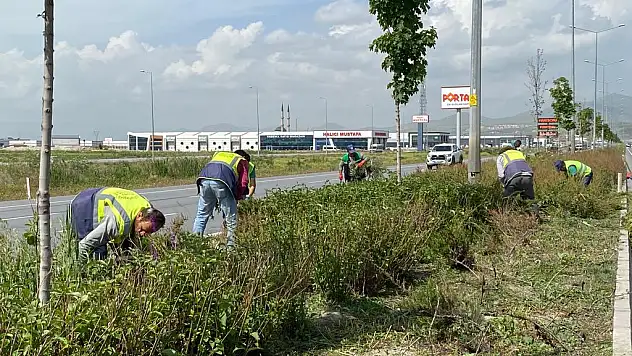 BÜYÜKŞEHİR'DEN KENTİN DÖRT BİR YANINDA YABANCI OTLARLA MÜCADELE