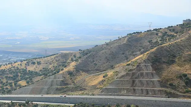 Caddeler Ağaçlarla Süsleniyor