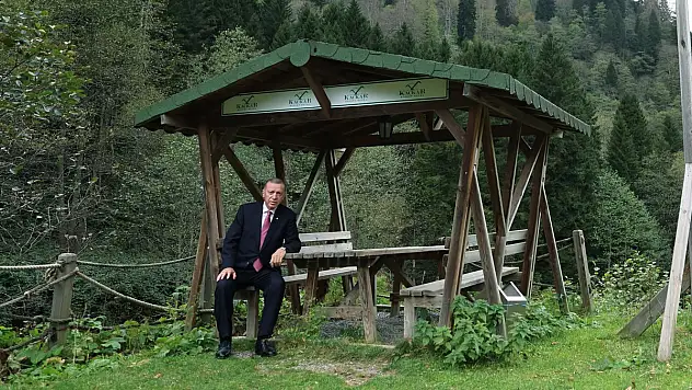 Cumhurbaşkanı Erdoğan, Ayder Yaylası'nda