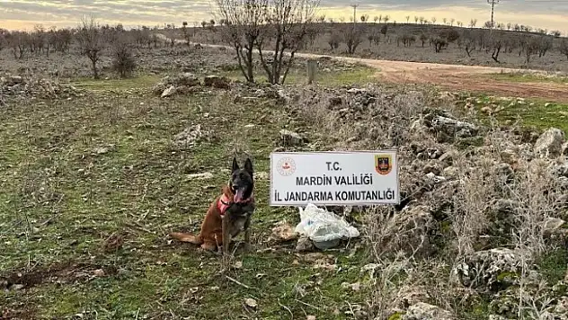 Dargeçit'te 25 kg tuzaklanmış patlayıcı ele geçirildi