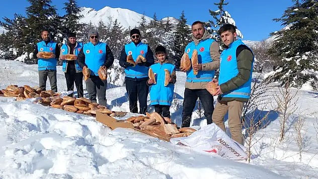 Develi'de yaban hayvanlarına yem bırakıldı