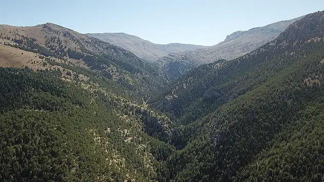 Develi Kıpız Vadisi ve Kanyonu muhteşem güzelliği ile büyülüyor.